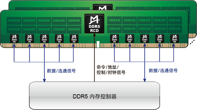 M88DR5DB01 (Gen1 DDR5 DB)