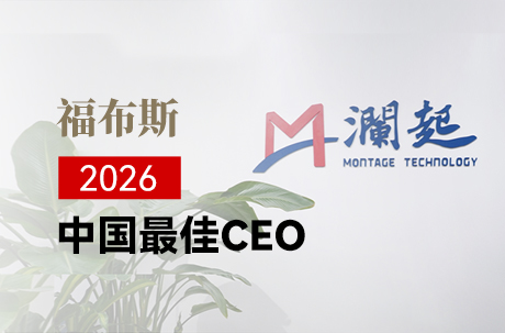 澜起科技官方网站建设