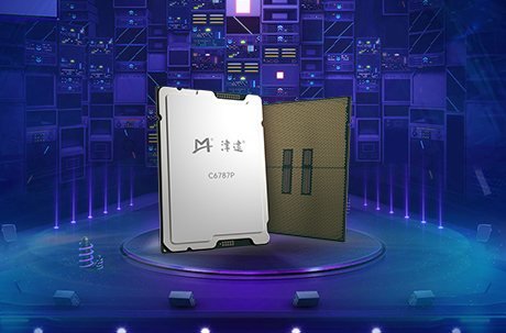 C6P Chip