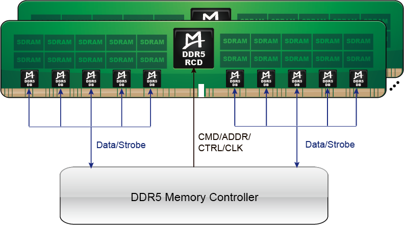 M88DR5DB01 (Gen1 DDR5 DB)